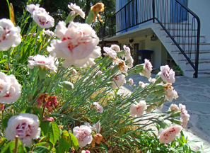 yoga-a-la-pironniere_le-lieu_05