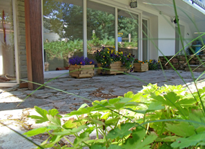 yoga-a-la-pironniere_le-lieu_12