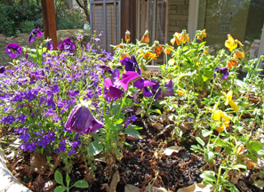 yoga-a-la-pironniere_le-lieu_14