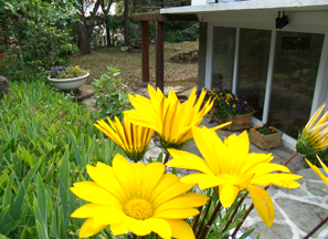 yoga-a-la-pironniere_le-lieu_25